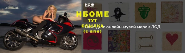 дживик Баксан